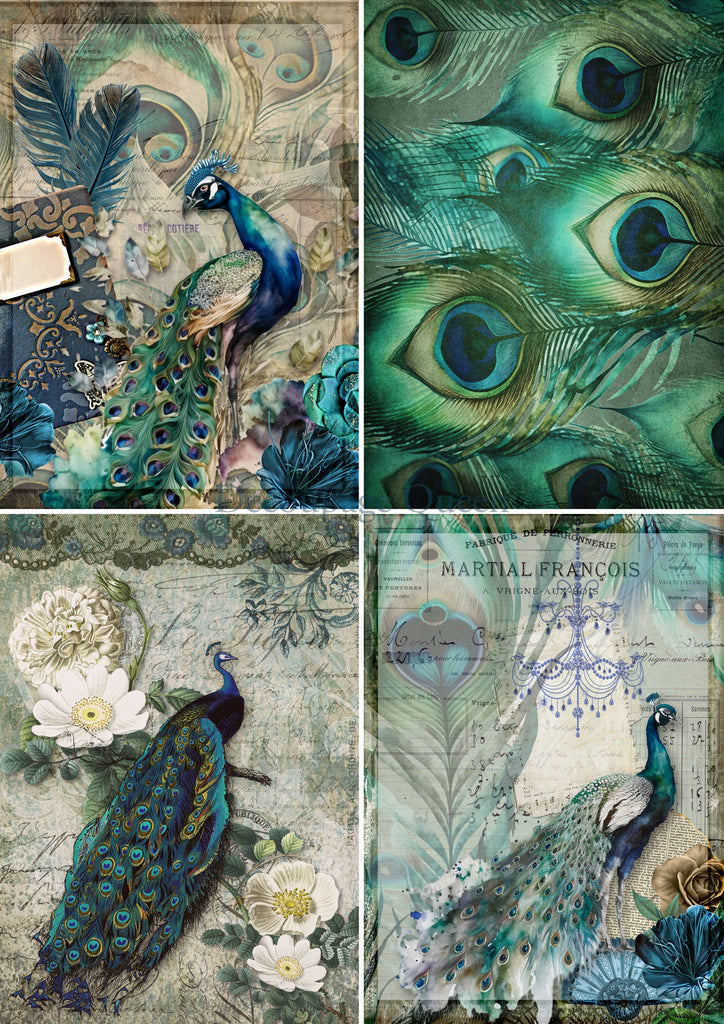 Decoupage Queen Peacock Four Pack Rice Paper A3-11.7 x 16.5 in-BluebirdMercantile