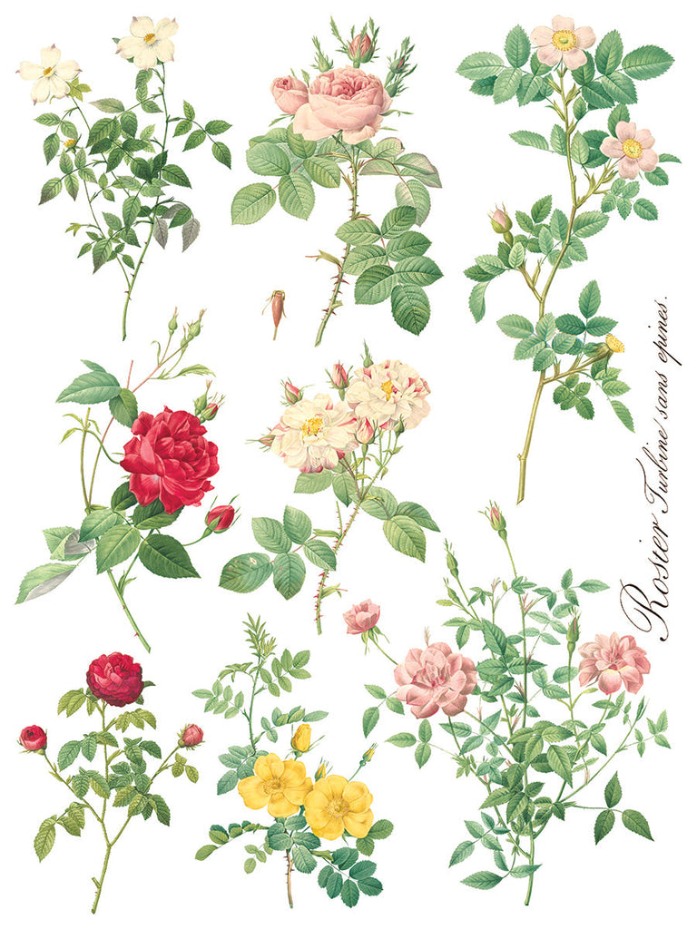 Iron Orchid Rose Botanical IOD Transfer 12x16 Pad™ transfer pad 8 sheets-BluebirdMercantile